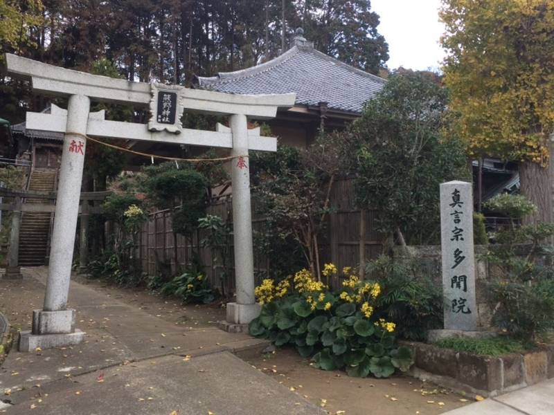 大船熊野神社 見どころ 鎌倉市 神奈川県 Omairi おまいり 大船熊野神社 見どころ 鎌倉市 神奈川県 Omairi おまいり