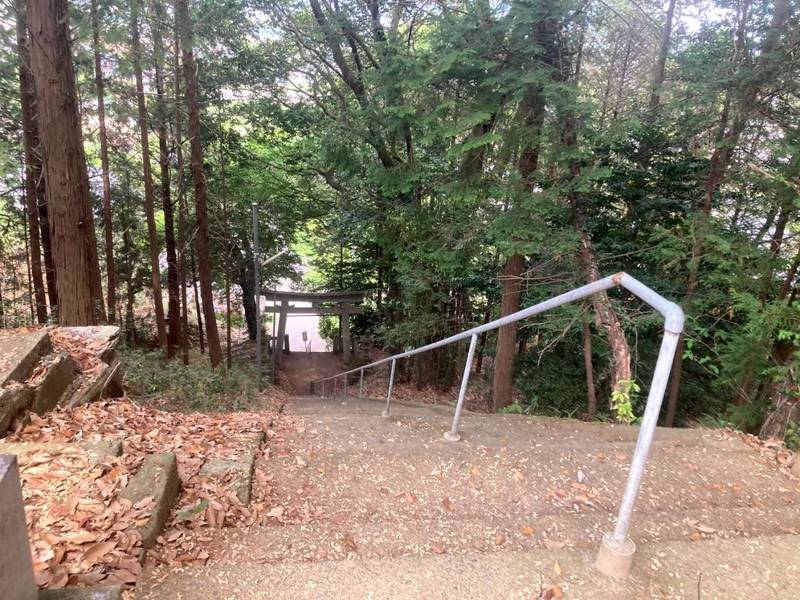 伊加々志神社,徳島県吉野川市川島町桑村1635