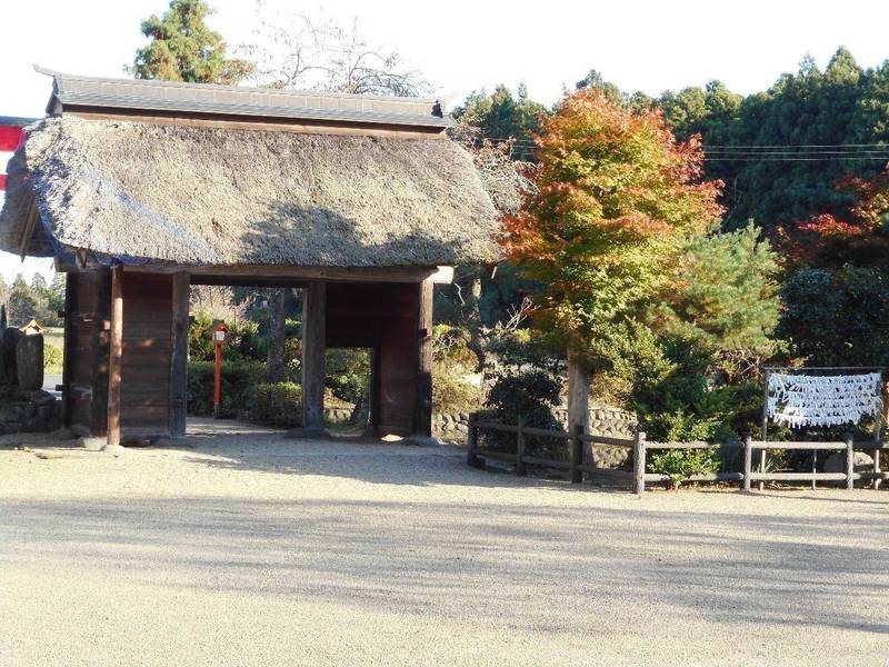 薬萊神社の御朱印
