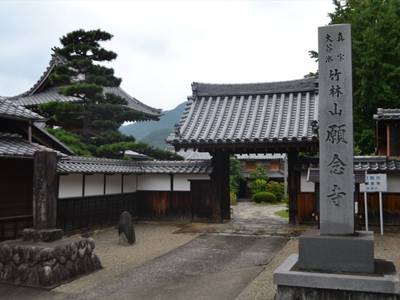 願念寺,見どころ,