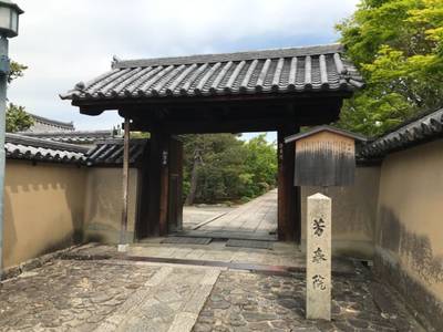 芳春院  (大徳寺塔頭)