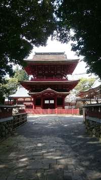 中津市の御朱印・神社・お寺 人気ランキング2025