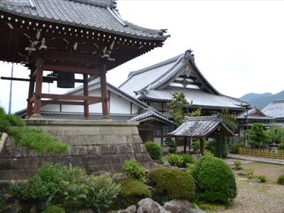 願念寺,見どころ,