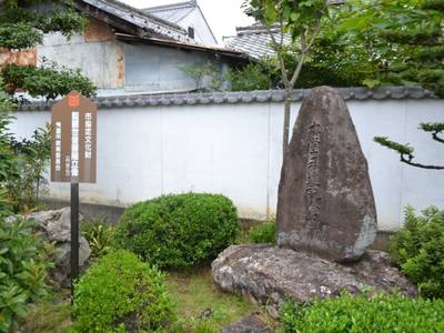願念寺,見どころ,