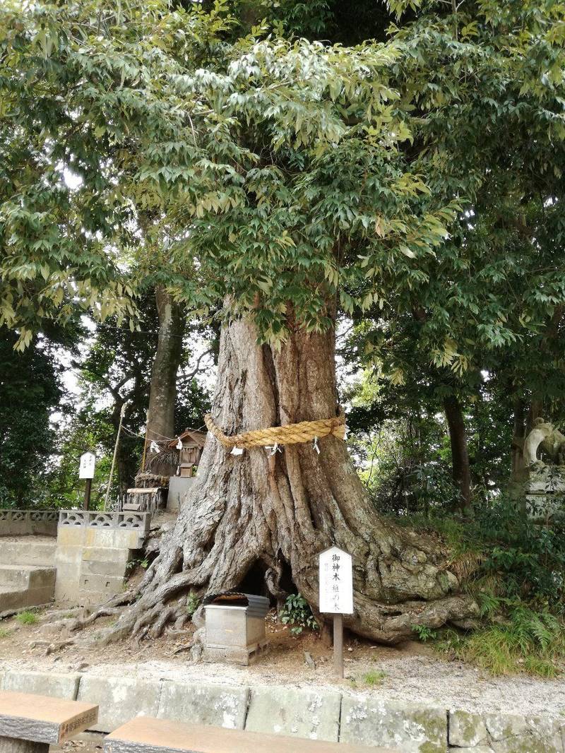 揖夜神社,島根県松江市東出雲町揖屋2229