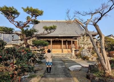 専明寺,見どころ,平沢凛