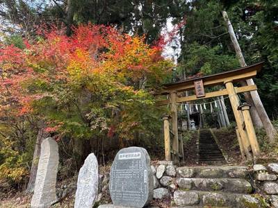 十殿神社   (大能),見どころ,GT23