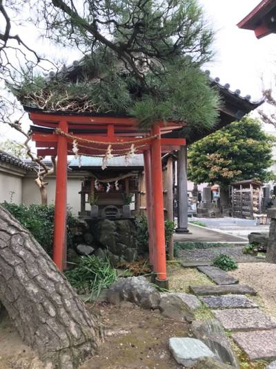 円真寺,見どころ,
