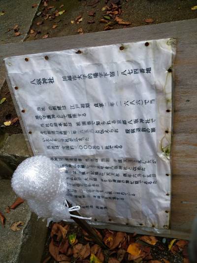 的場八坂神社,見どころ,流離う風