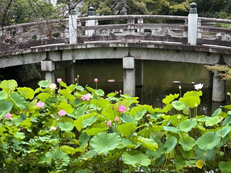 金戒光明寺,京都府京都市左京区黒谷町121