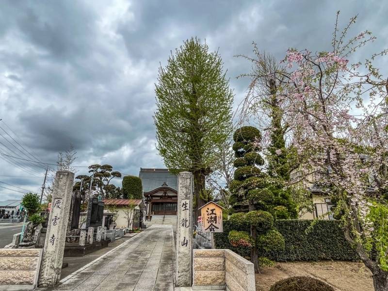 慶雲寺の御朱印