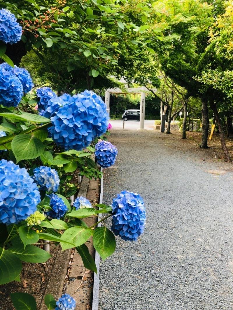 東郷神社,福岡県福津市渡1815番地1