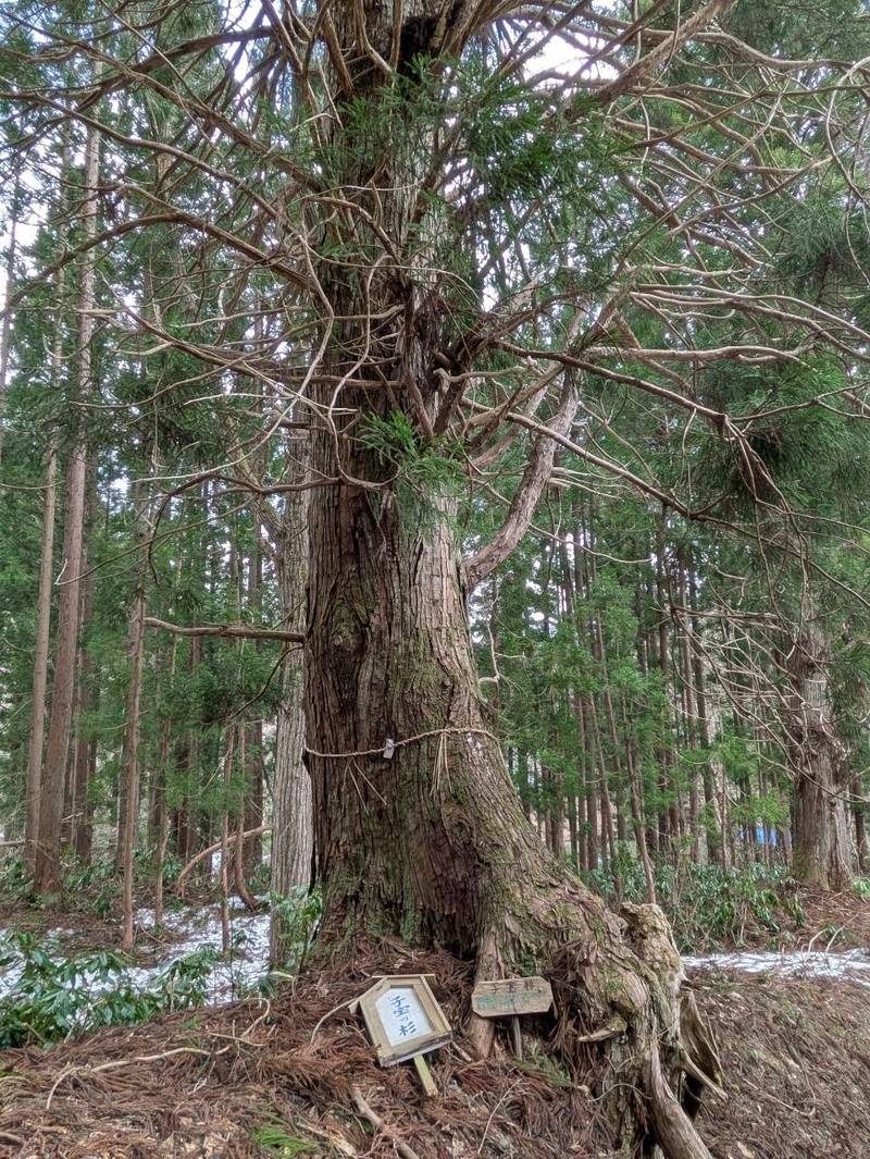 浮島稲荷神社,山形県西村山郡朝日町大沼字大比良984
