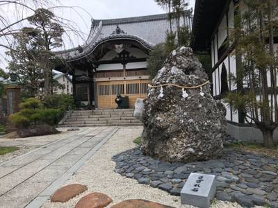 円真寺,見どころ,