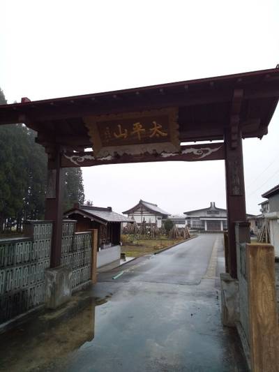 報恩寺,見どころ,つち
