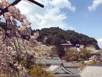 桜井市の御朱印・神社・お寺 人気ランキング2025