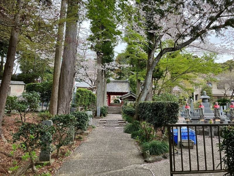 天龍山 洞雲寺,静岡県浜松市西区神ヶ谷町4273