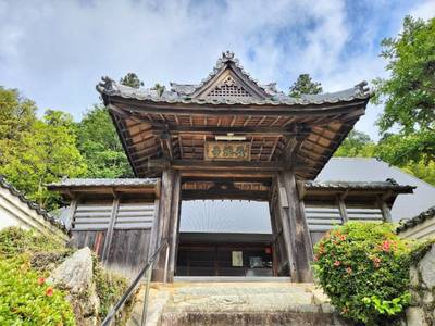 梅相院,見どころ,ボブ