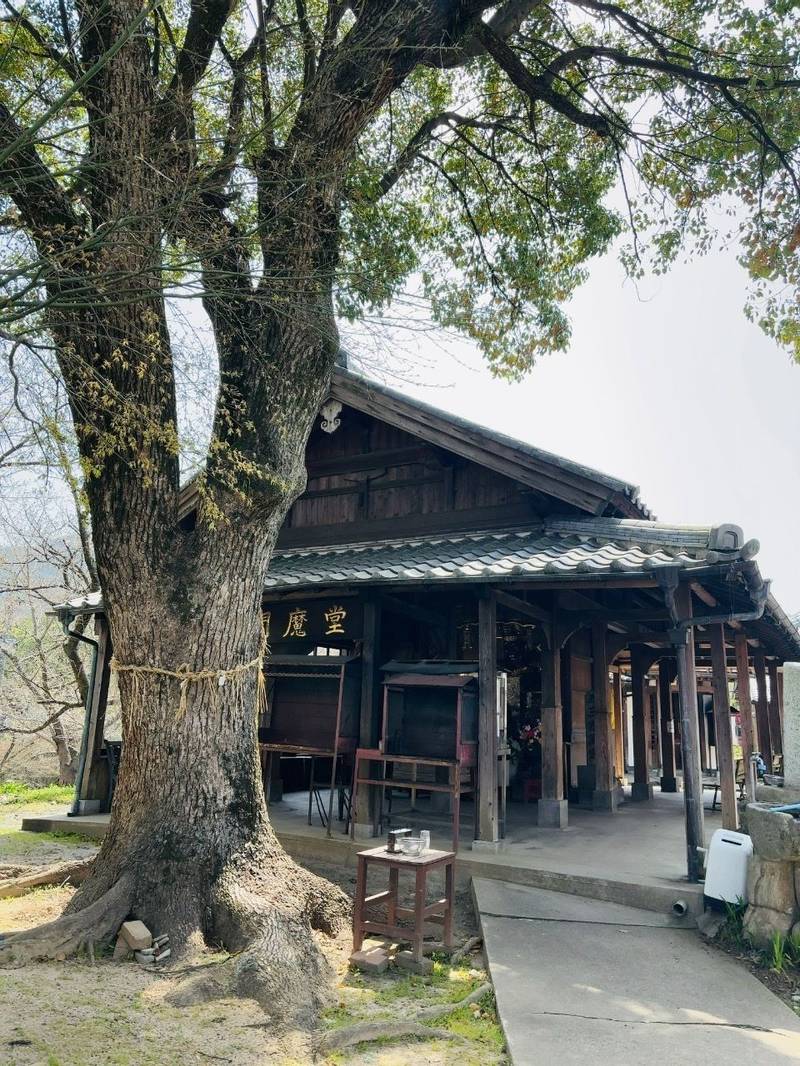 篠栗公園大日寺   (大日寺),福岡県糟屋郡篠栗町篠栗4228