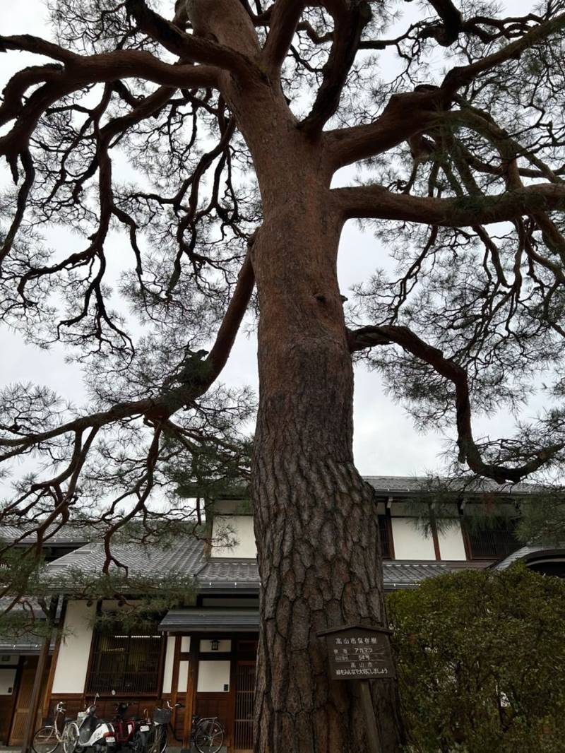 玄興寺,岐阜県高山市岡本町1-71