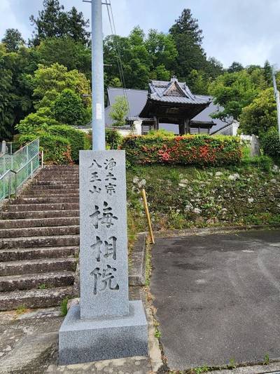 梅相院,見どころ,ボブ