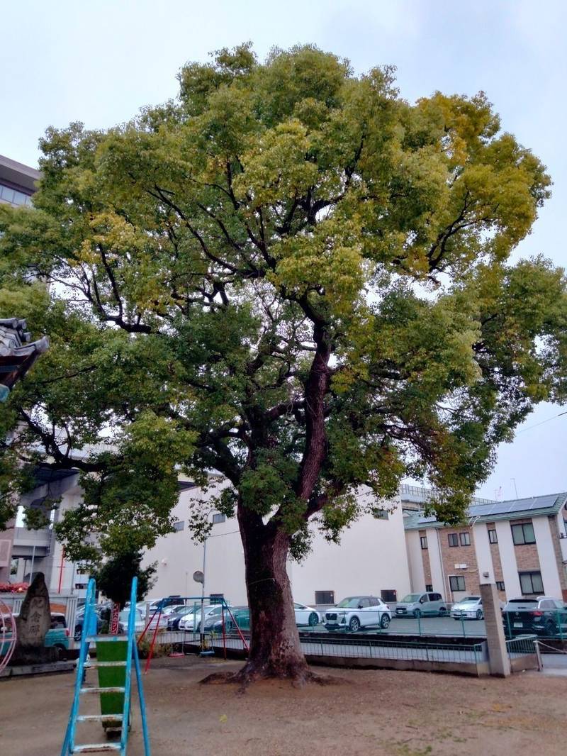 大津神社,大阪府東大阪市水走２丁目１５−４５