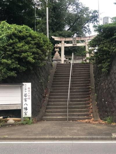 相州瀬谷若宮八幡宮,見どころ,you