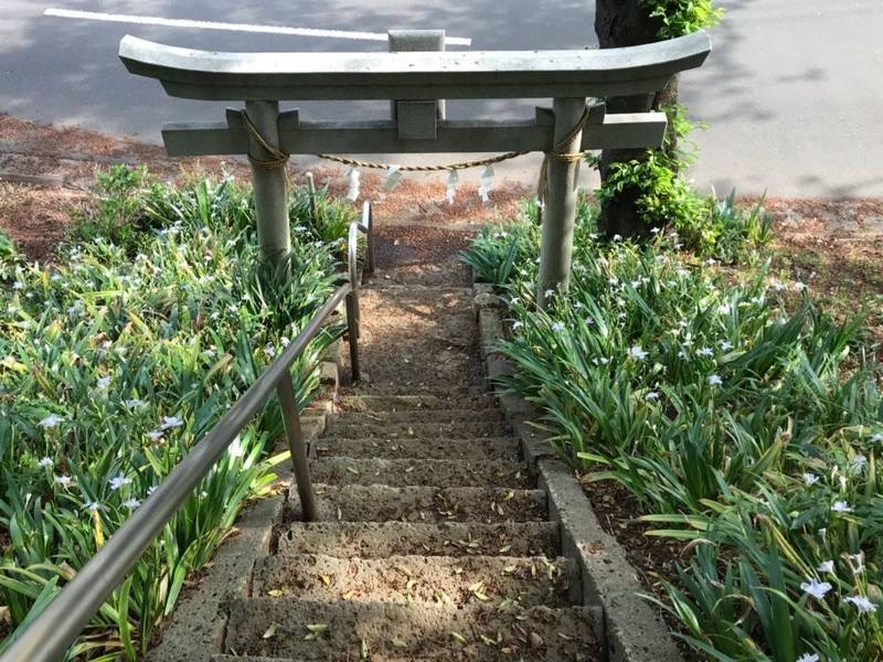 稲荷社   (折本町),神奈川県横浜市都筑区折本町273