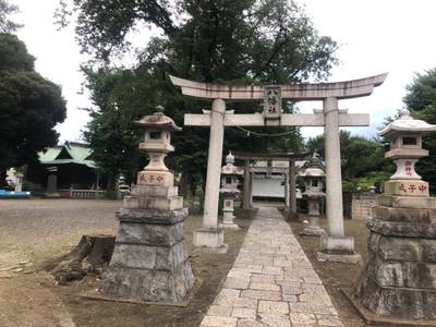 相州瀬谷若宮八幡宮,見どころ,you