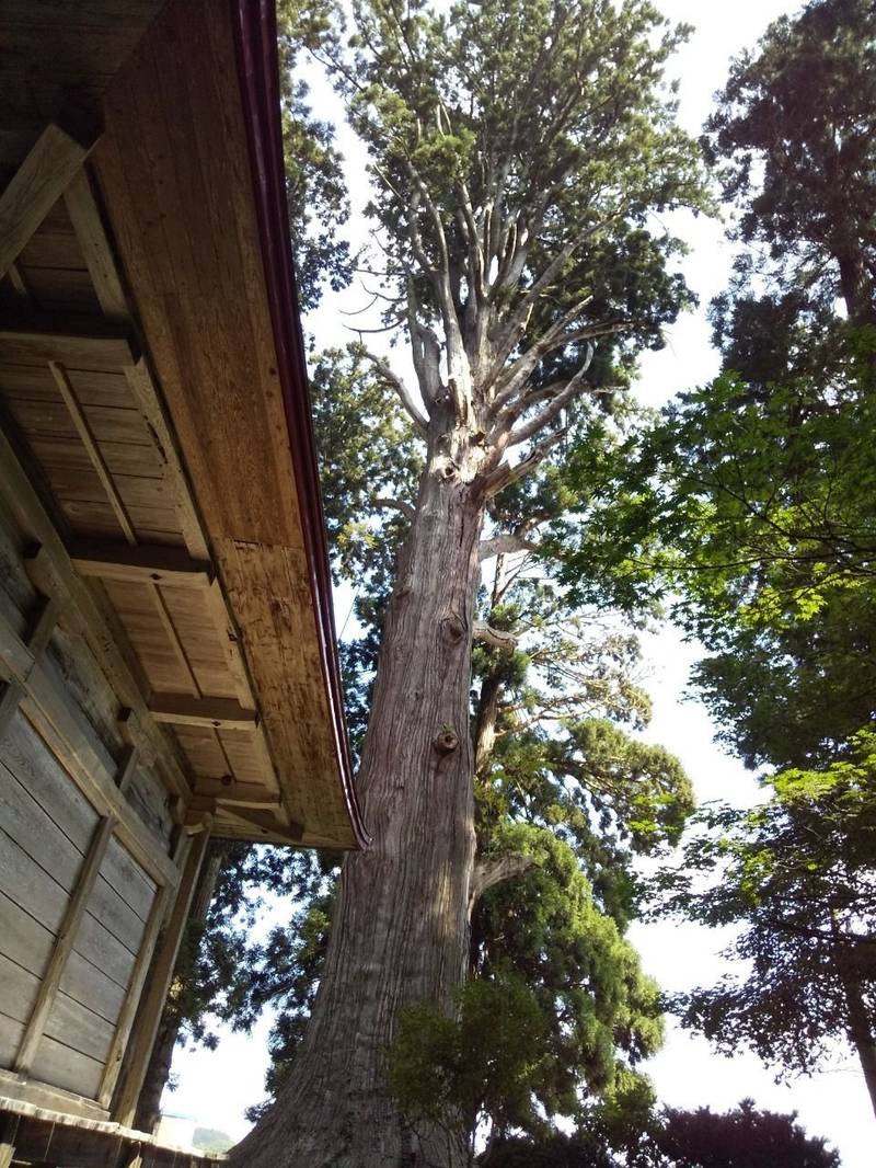石動神社,山形県新庄市萩野3559