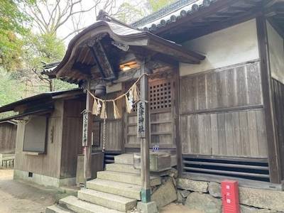天津神社 (粒江),見どころ,nora-neko