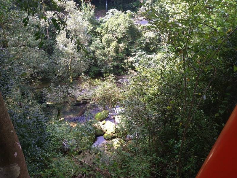 大川原稲荷神社,鹿児島県曽於市財部町下財部