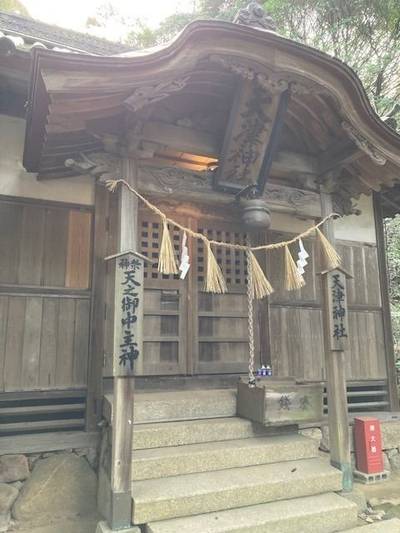 天津神社 (粒江),見どころ,nora-neko