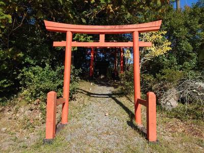 稲荷神社  (上延町),見どころ,とっちー