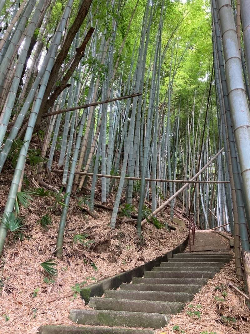 若宮八幡神社,福島県いわき市小名浜林城字塚前103