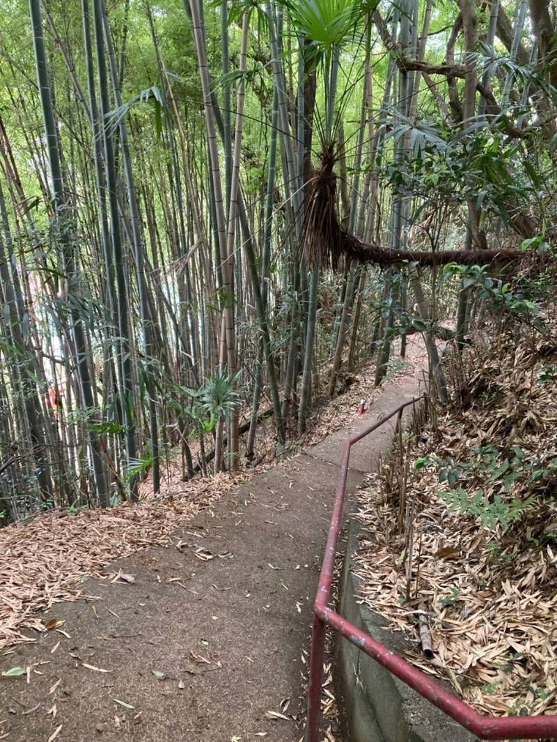 若宮八幡神社,福島県いわき市小名浜林城字塚前103