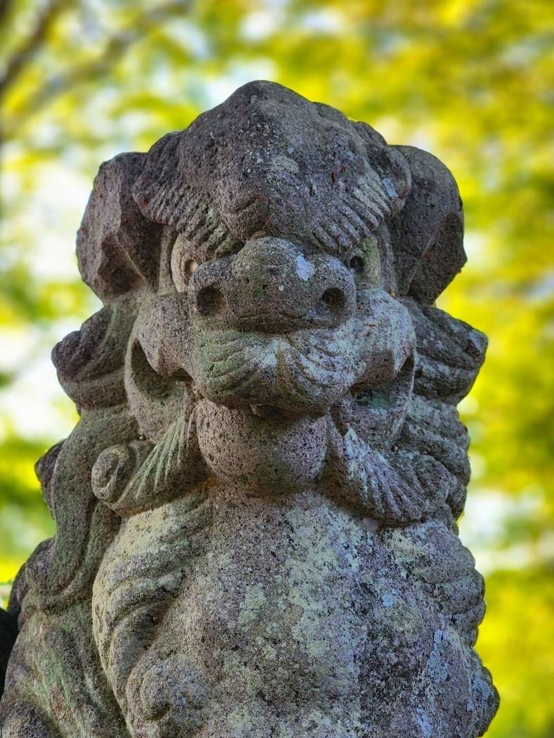 七本木神社,埼玉県児玉郡上里町七本木3237