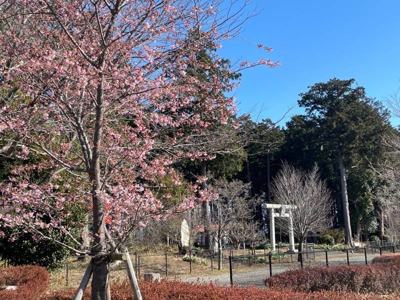 府川諏訪神社,神奈川県小田原市府川293