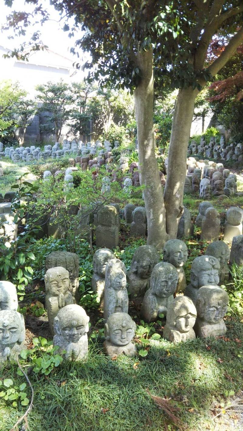 如来寺,石川県金沢市小立野５丁目１−１５