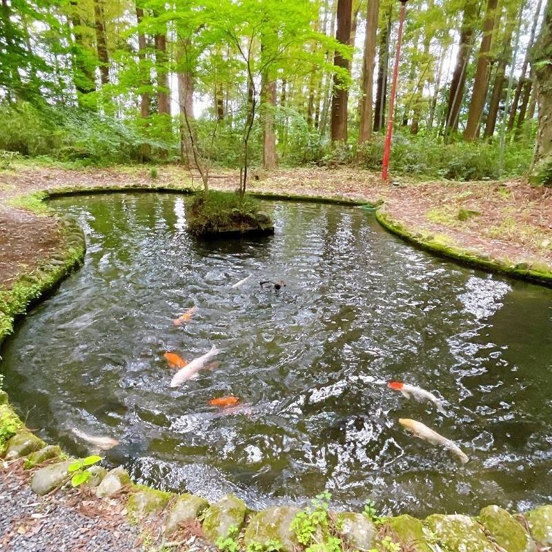 都々古別神社 (八槻明神),福島県東白川郡棚倉町八槻字大宮224