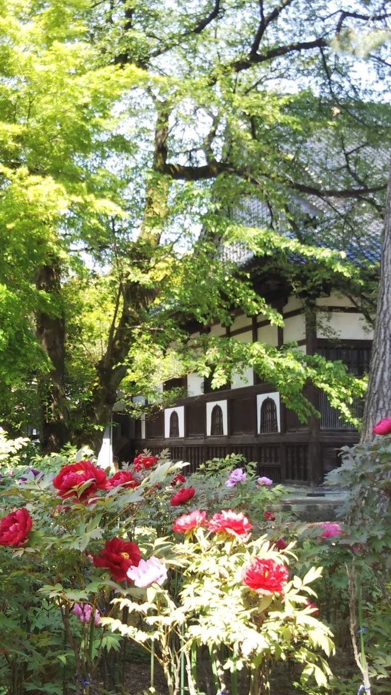 如来寺,石川県金沢市小立野５丁目１−１５