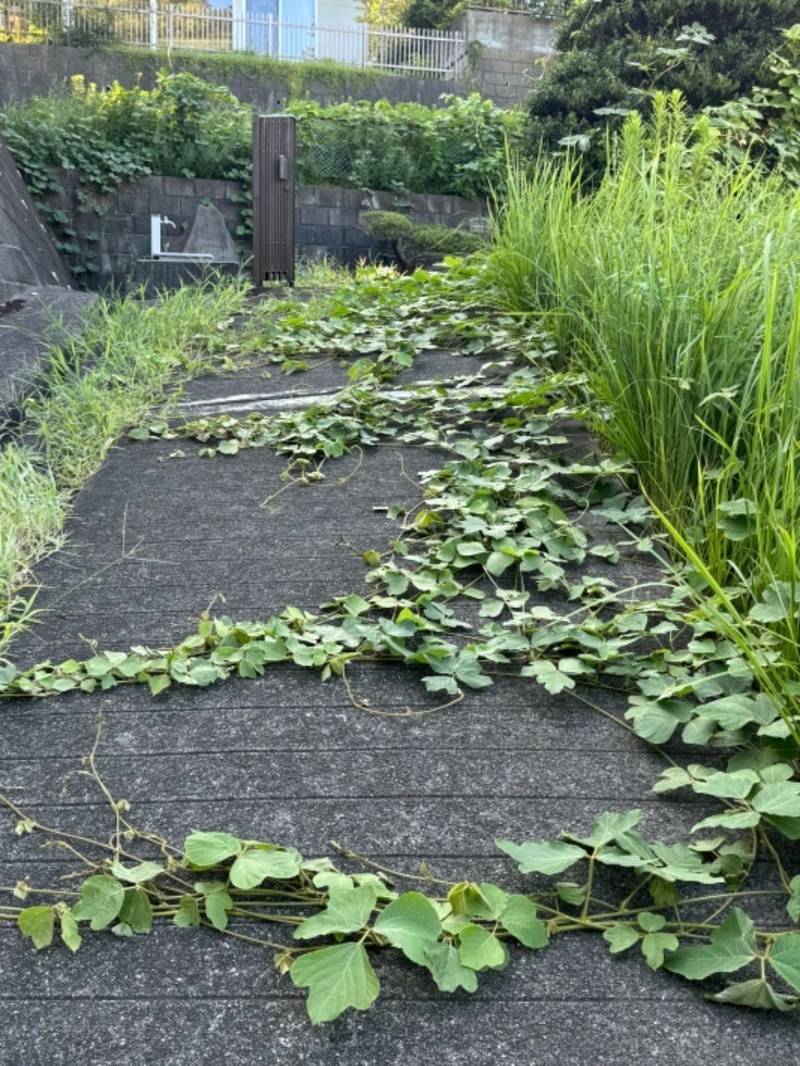 比川社,神奈川県川崎市麻生区王禅寺東5-39-39