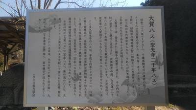 聖光寺,見どころ,メカぽん