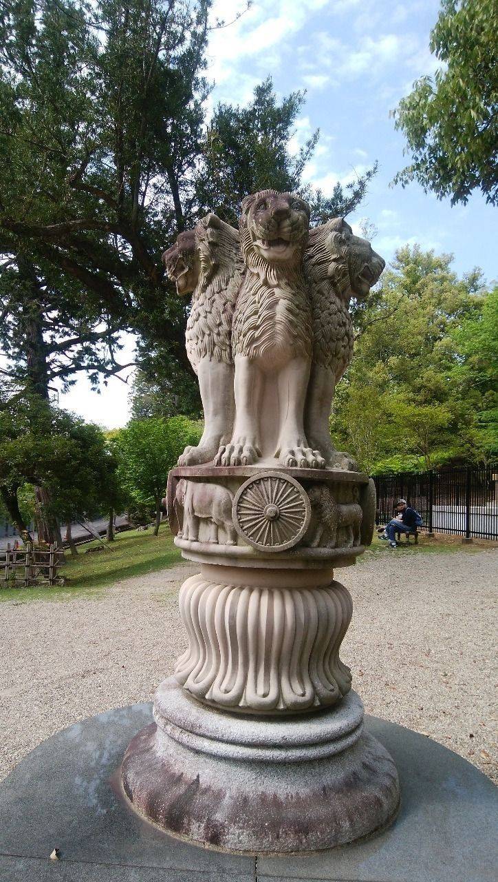 東大寺 奈良市 奈良県 の見どころ アショカ ピ By まこと Omairi おまいり 東大寺 奈良市 奈良県 の見どころ アショカ ピ By まこと Omairi おまいり