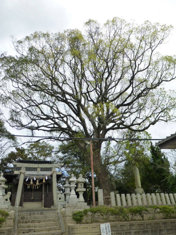 平原神社,山口県宇部市東平原2-4-8