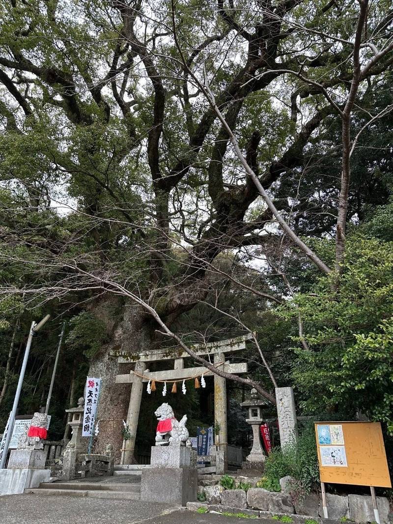 仁井田神社,高知県高知市仁井田3514