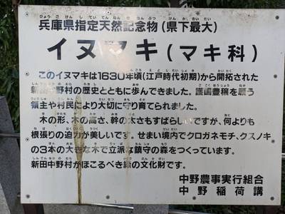 中野稲荷神社,見どころ,りょうちゃん