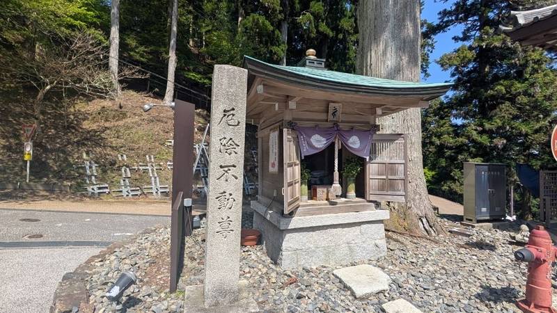 比叡山延暦寺 正覚院,滋賀県大津市坂本本町4220 比叡山東塔