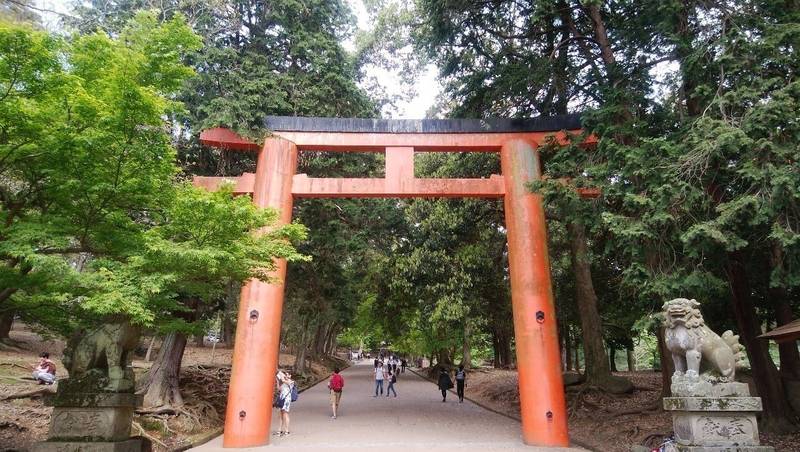 手向山八幡宮 (東大寺八幡宮),奈良県奈良市雑司町434