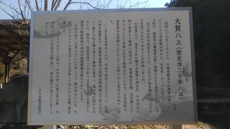 聖光寺,佐賀県多久市多久町1848